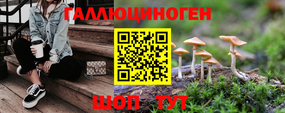 Псилоцибиновые грибы прущие грибы Тосно
